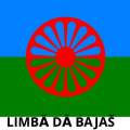 BAJAŠKI FLAG (1)
