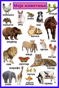 SERB CYRL MY ANIMALS  WALL POSTER 