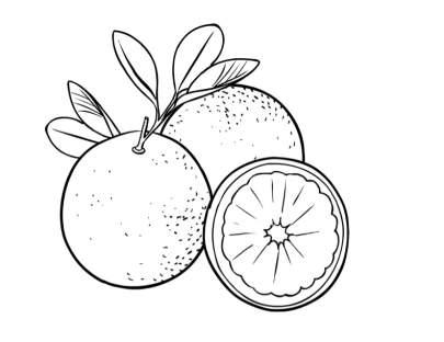 oranges