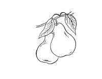 pear