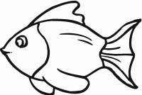 goldfish