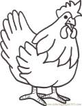 hen