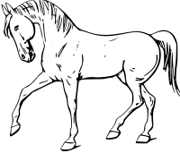horse