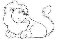 lion