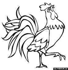 rooster