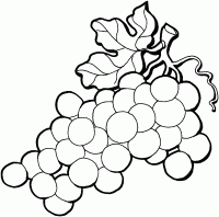 grapes